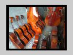 cello store 7.jpg